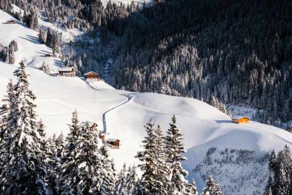 Austria's 2024/25 winter tourism season got off to a strong start, Statistics Austria reported, with the number of nights spent in tourism accommodation establishments 6.7% higher in November 2024, compared to the previous year.