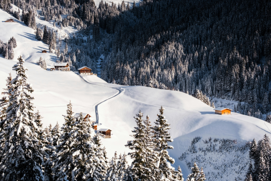 Austria's 2024/25 winter tourism season got off to a strong start, Statistics Austria reported, with the number of nights spent in tourism accommodation establishments 6.7% higher in November 2024, compared to the previous year.