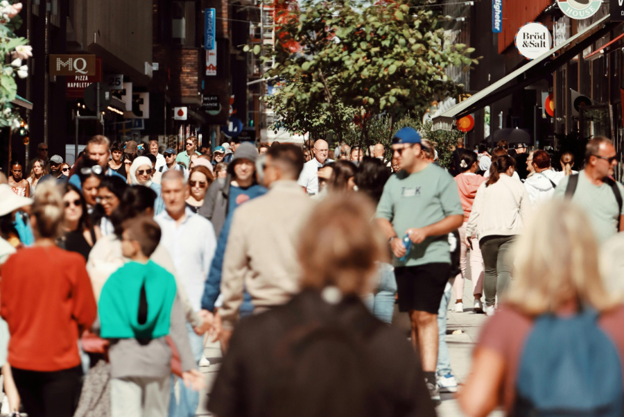 Sweden boasts the highest naturalisation rate in the EU – i.e. the number of persons that acquire the citizenship of the country in which they're living – with a rate of 7.9 per 100 non-national residents in 2023, Eurostat data has found.