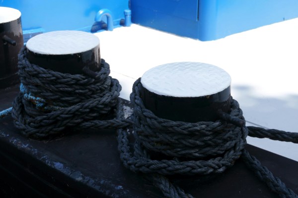 Some 11,423 tonnes of fish were sold in Belgian ports last year, a 7.1% decline from the 12,302 tonnes sold in 2023, new data from Statbel, the Belgian statistics office, has found.