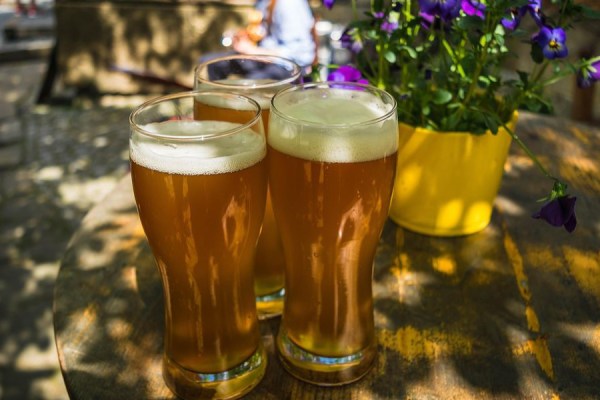 A growing number of Danish consumers are turning their back on alcohol, a new study conducted by Voxmeter on behalf of Blue Cross Denmark has found.