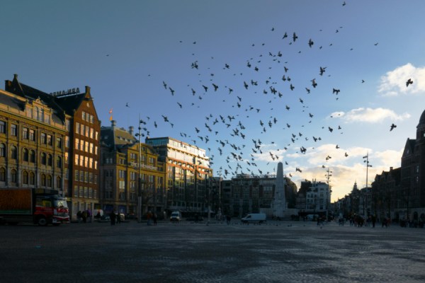 Dutch businesses expect to invest more in their operations in 2026 compared to this year, despite profitability declining in the third quarter, a new study has found.