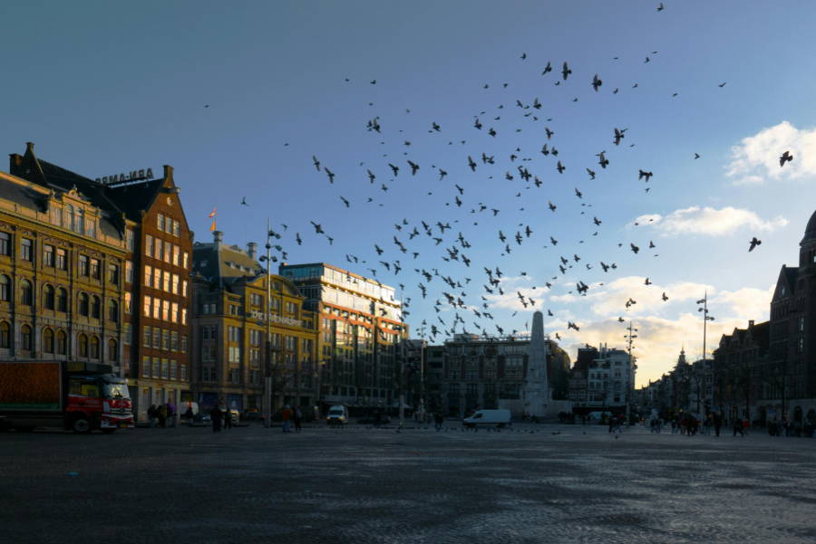 Dutch businesses expect to invest more in their operations in 2026 compared to this year, despite profitability declining in the third quarter, a new study has found.