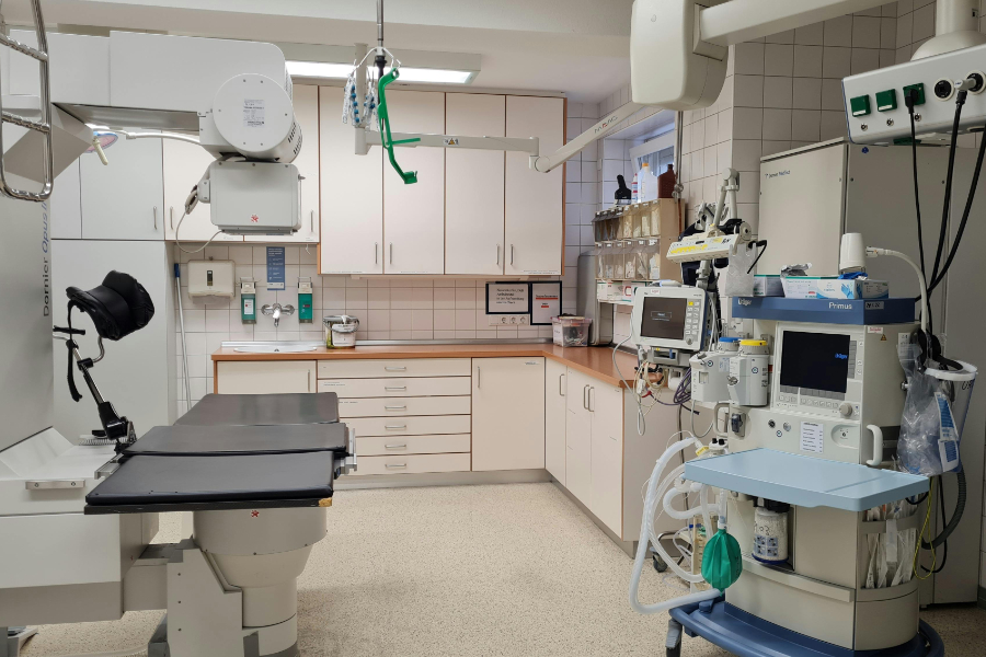 Health expenditure rose to €538.2 billion in Germany in 2024, or €6,444 per capita, a 7.6% increase on the previous year, according to data from the country's federal statistics office (Destatis).