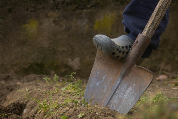 Fertiliser prices rose in each consecutive quarter of 2025, with Q4 prices rising by 8% compared to the previous period, new data from Eurostat has revealed.