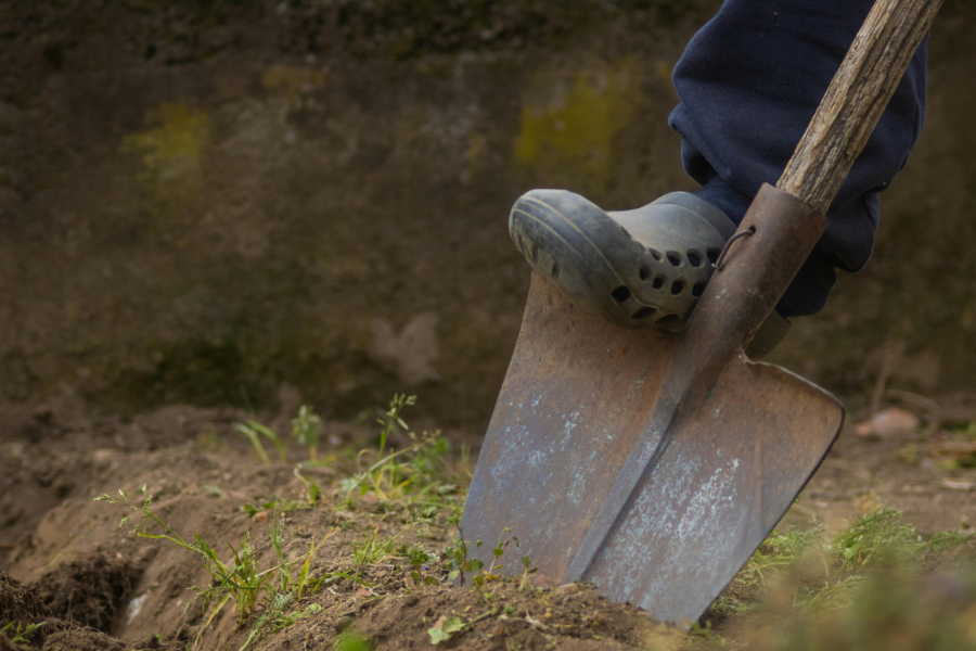 Fertiliser prices rose in each consecutive quarter of 2025, with Q4 prices rising by 8% compared to the previous period, new data from Eurostat has revealed.