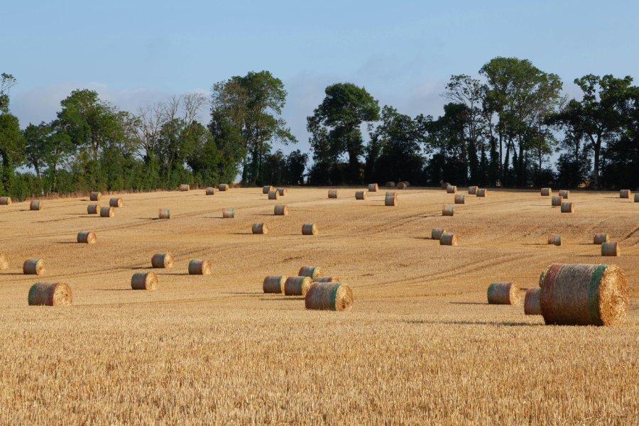 The European Commission has formally adopted the Fertiliser Action Plan, an initiative to support farmers facing rising fertiliser prices and supply shortages,